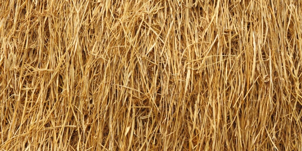 Premium water reed roofing installation