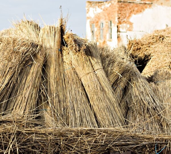Premium Thatched Roofing Europe