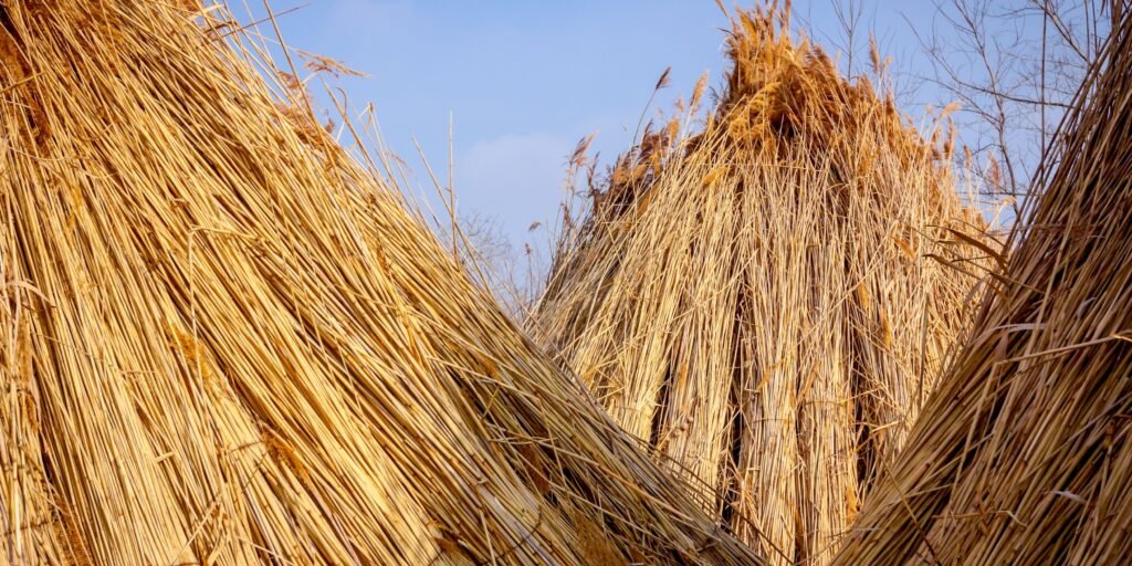 Premium water reed roofing installation