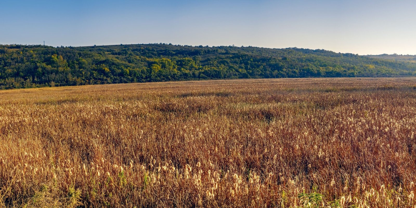 Shipping & Logistics